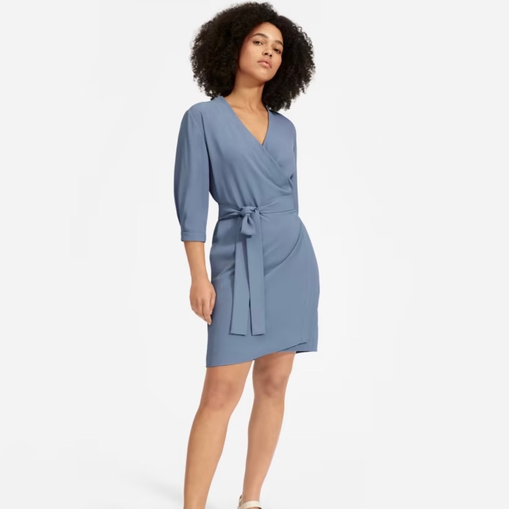 Everlane The Japanese GoWeave 3/4 Sleeve Mini Dress - Perfect Condition- Size 2